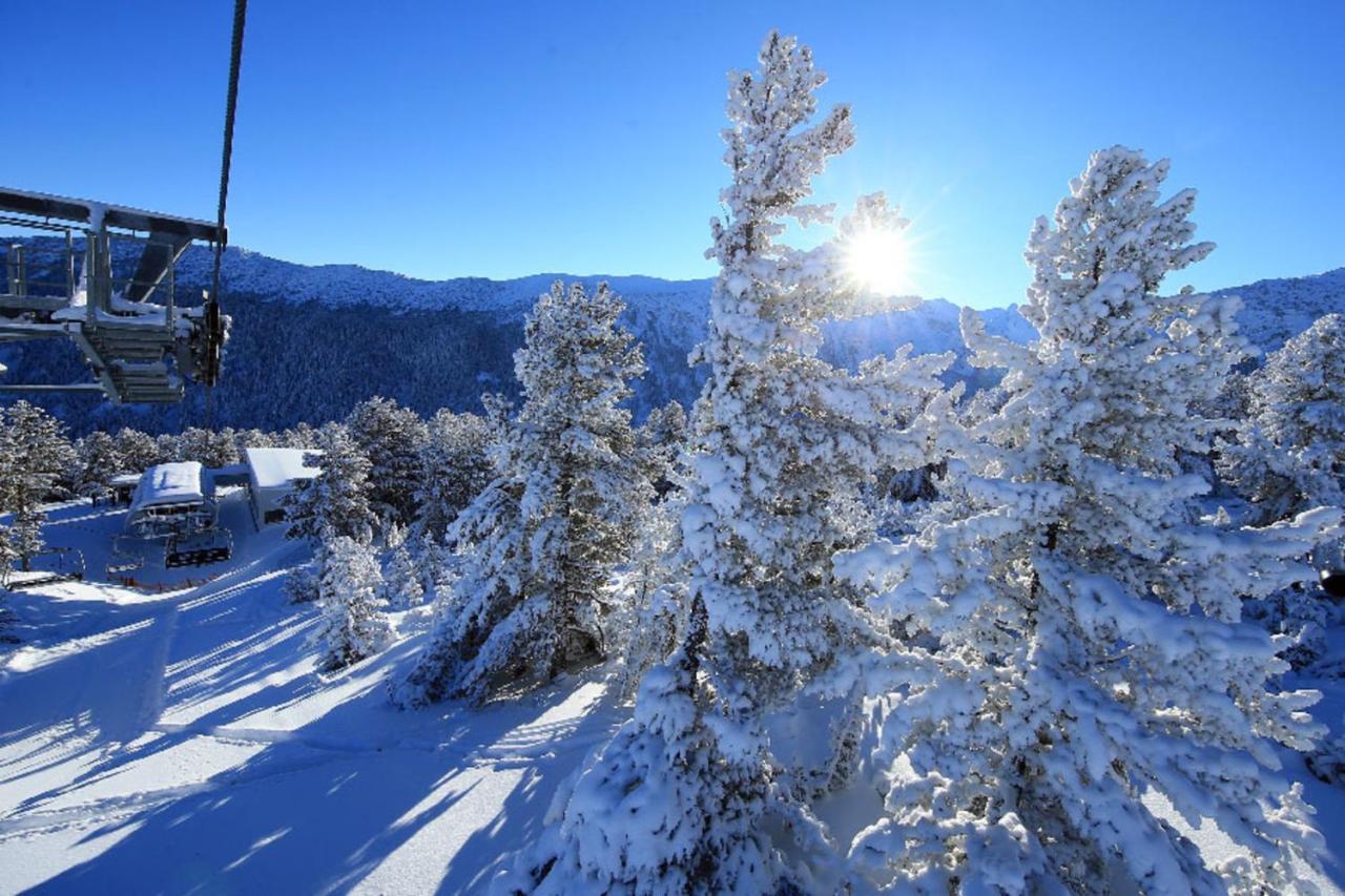 Lucy'S Apartments Emerald Bansko Bagian luar foto